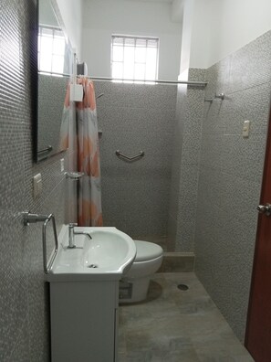 Regadera, secadora de cabello, toallas, jabón 