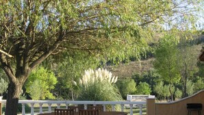 An outdoor patio with a table and chairs, surrounded by a white railing, overlooking a hillside with trees and a white flowering plant.