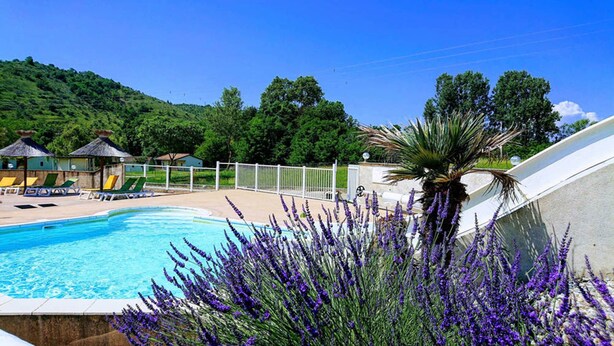 A swimming pool with a white fence, a palm tree, and purple flowers in the foreground. - Chalet 5 people (MONTREAL)