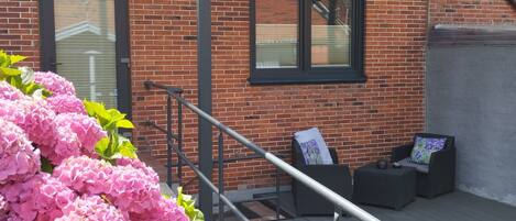 Detalle del exterior