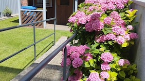 Un edificio in mattoni con un particolare vega e un piccolo portico, e un vaso fiorito con fiori rosa.