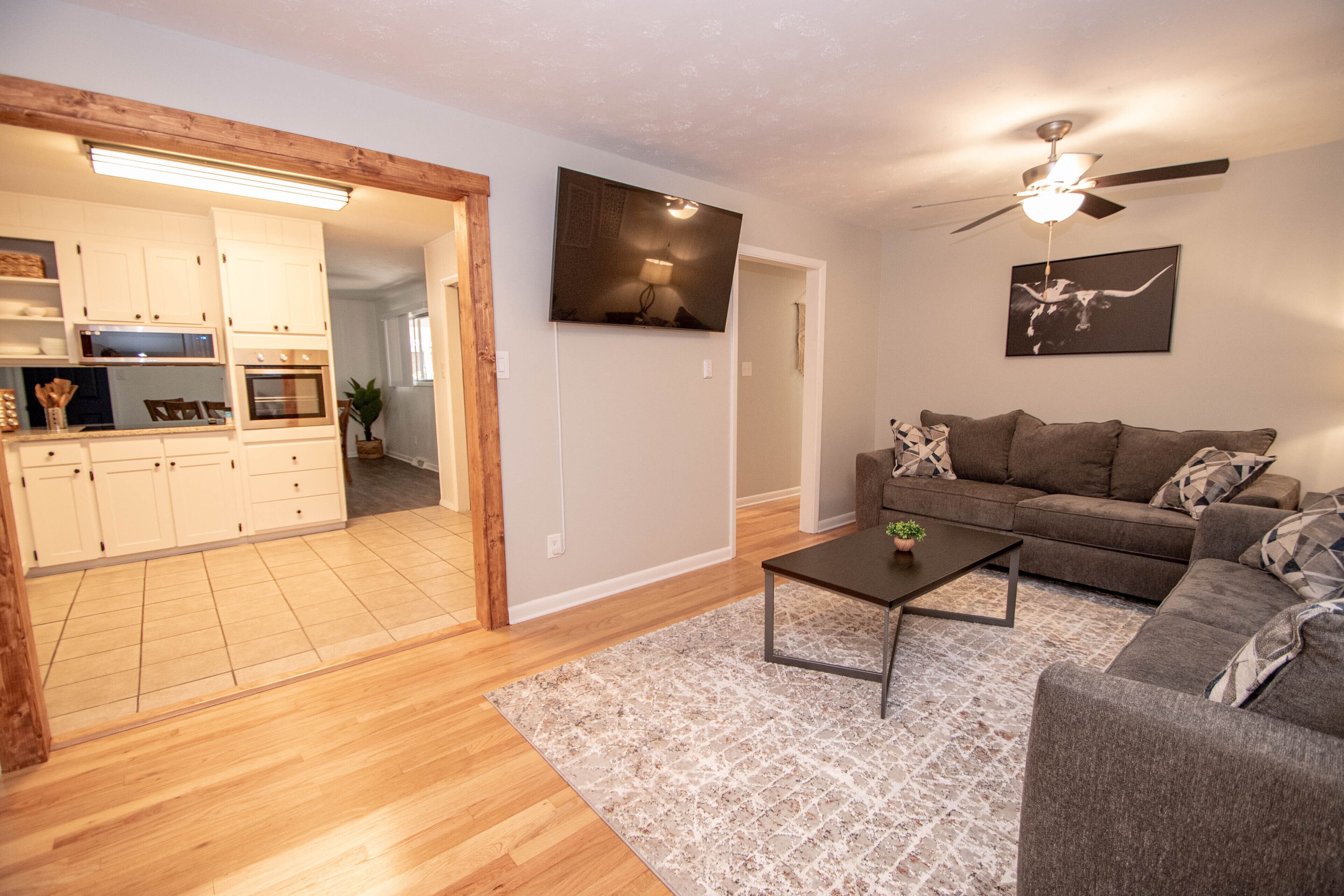 Smart TV, fireplace, books