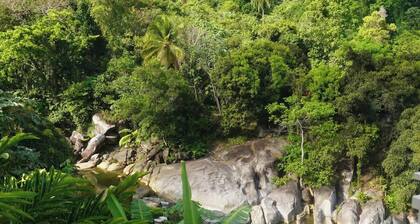 El Yunque Waterfalls Romantic Stay