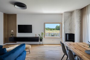 Smart TV, fireplace