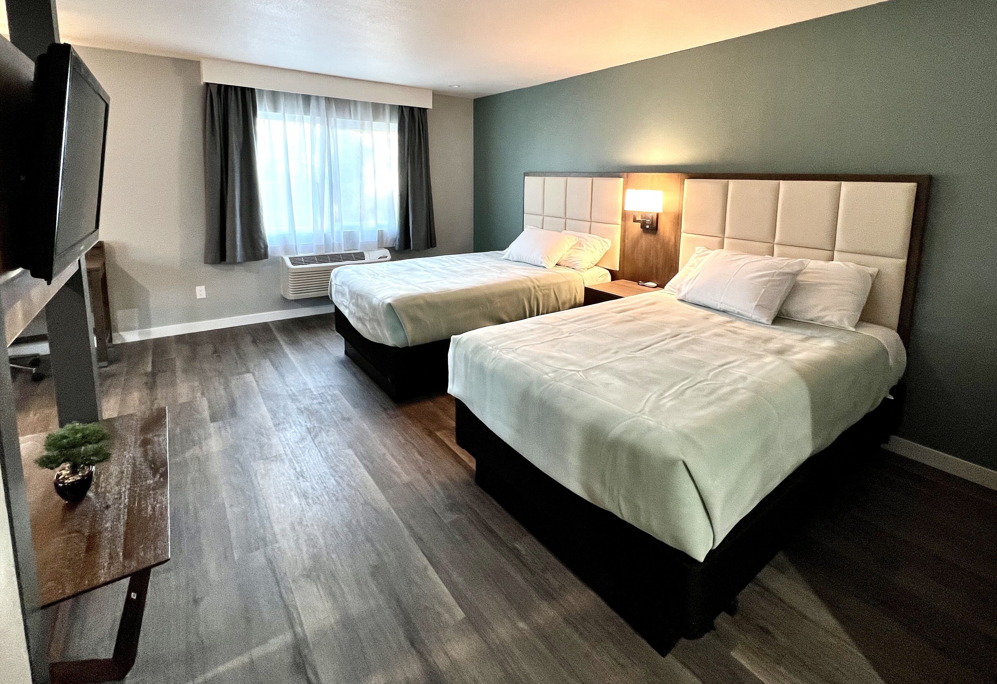 A hotel room with two beds, a TV, a small table with a plant, and a window with curtains.