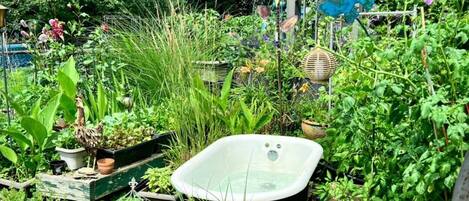 Overnatningsstedets område