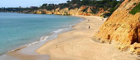 Apartament | 2 dormitoris