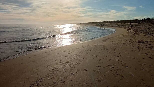 En strand med en bugtet kystlinje, mennesker der går en tur langs stranden, og solens refleksioner i vandet.