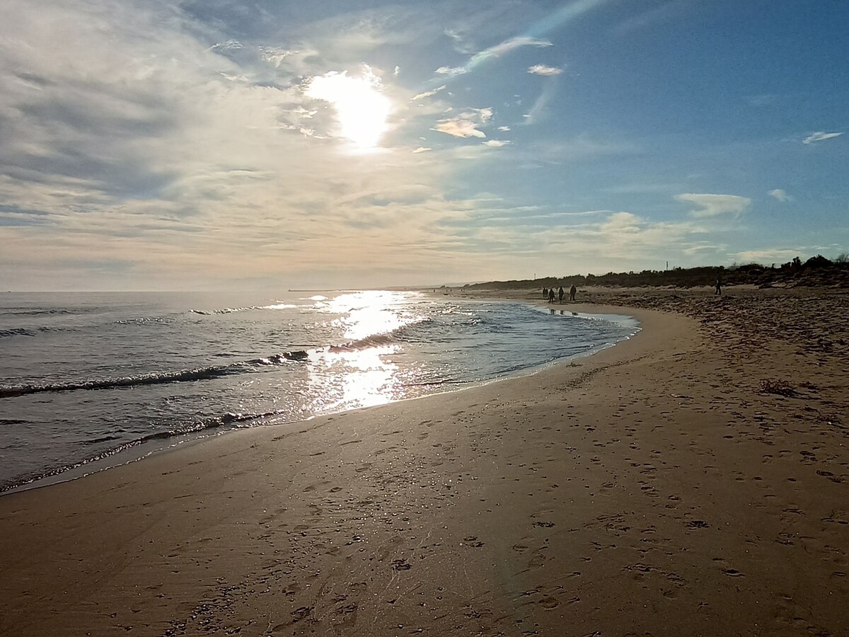 オーナーのプロフィール画像