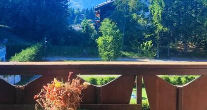 Cozy Studio in Crans-Montana, 300mt from the SKI-Area- Pet-Friendly!