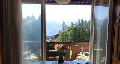 Cozy Studio in Crans-Montana, 300mt from the SKI-Area- Pet-Friendly!