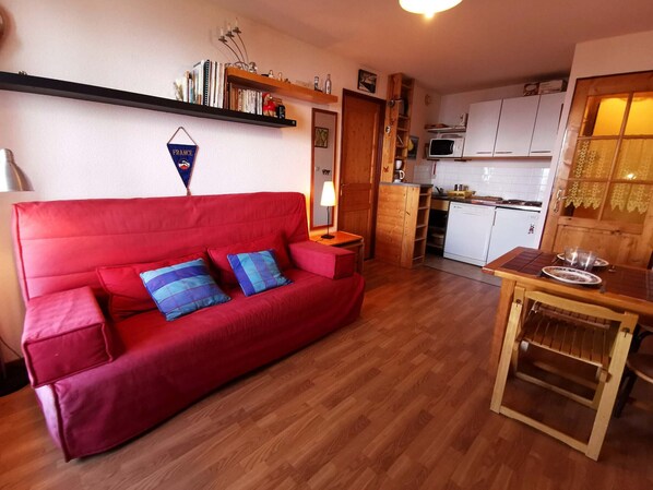 TV - Apartment in Adrets-Prapoutel, 2 rooms, balcony, close to slopes and shops (Les Adrets-Prapoutel)