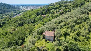 A house surrounded by dense greenery on a hillside with a distant view of a town.