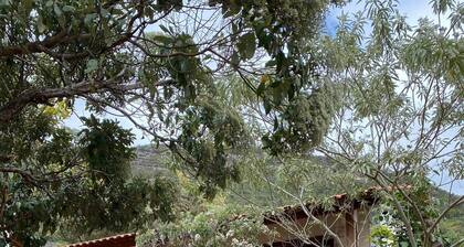 Suíte Terra do Capão