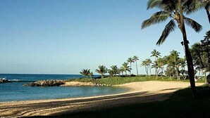 Une plage bordée de palmiers, sous un ciel dégagé.