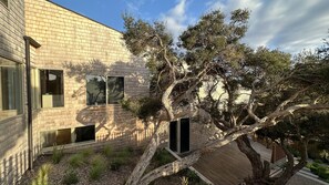 Exterior - Portsea Shingle House (Portsea)