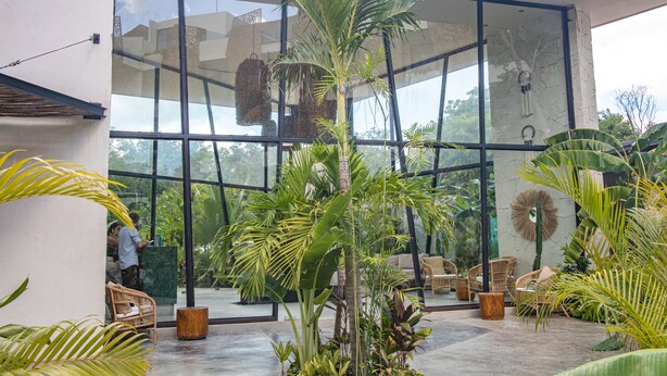 A spacious indoor area with large windows, various plants, wicker furniture, and a stone wall. - Tú Refugio Exclusivo en Tulum Dk Jade 3 (Tulum)