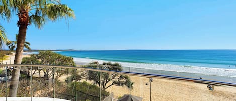 A beachfront property with a glass balustrade, a palm tree, and a view of the ocean.