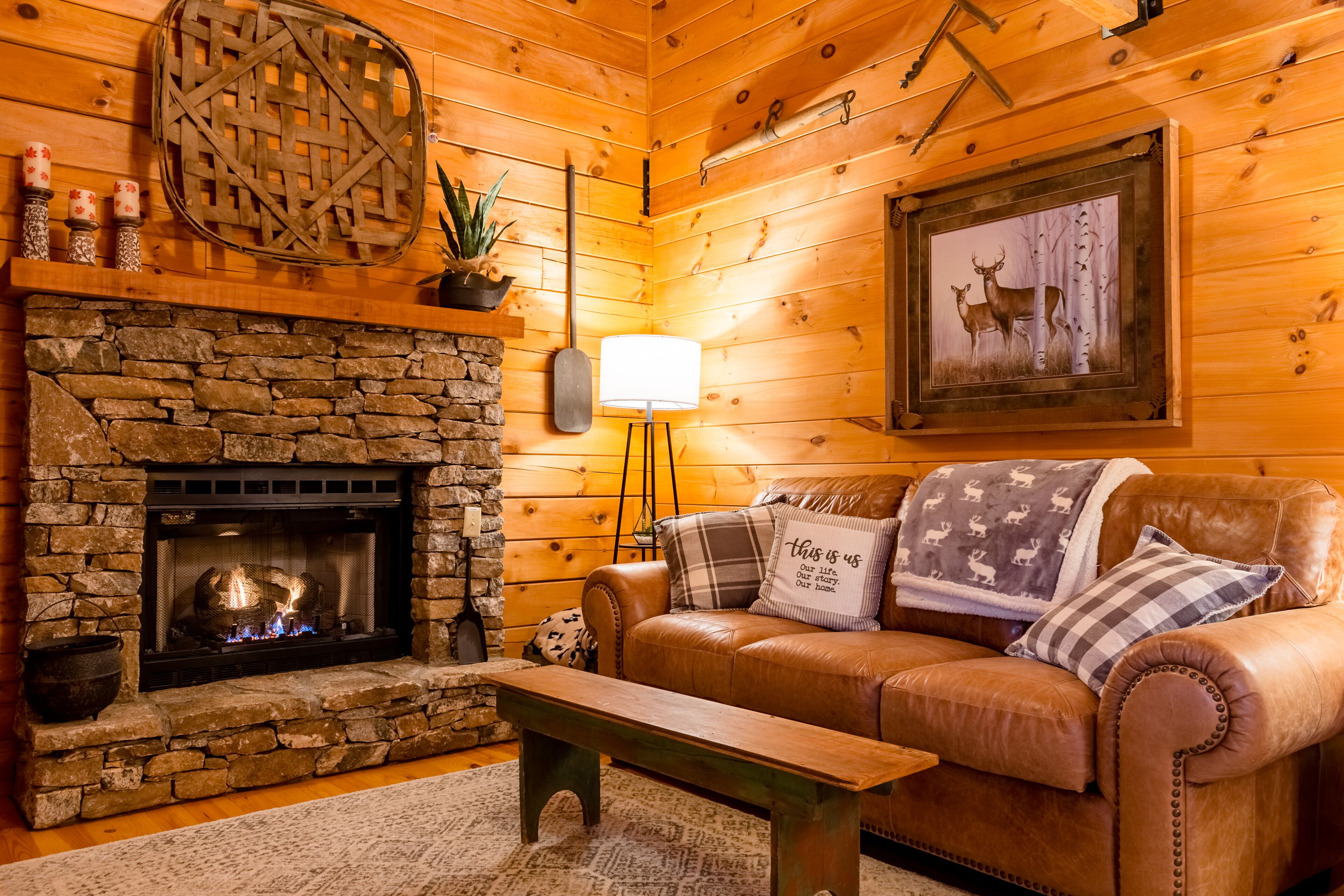 智能电视、壁炉、电子游戏、书