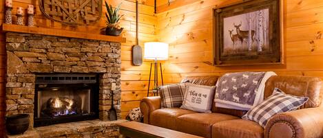 Smart TV, fireplace, video games, books