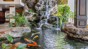 Een waterval met koi karpers in een vijver, omringd door rotsen en groen.