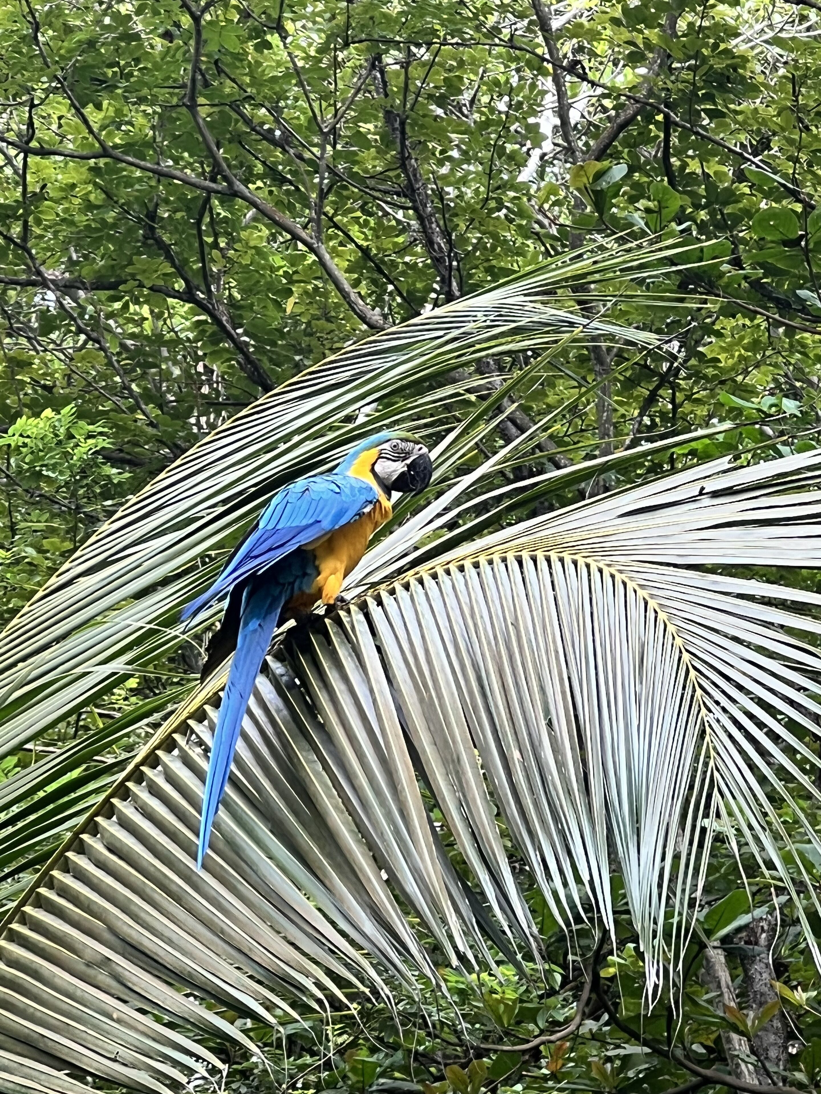 Foto - Casa Galú - Capurganá