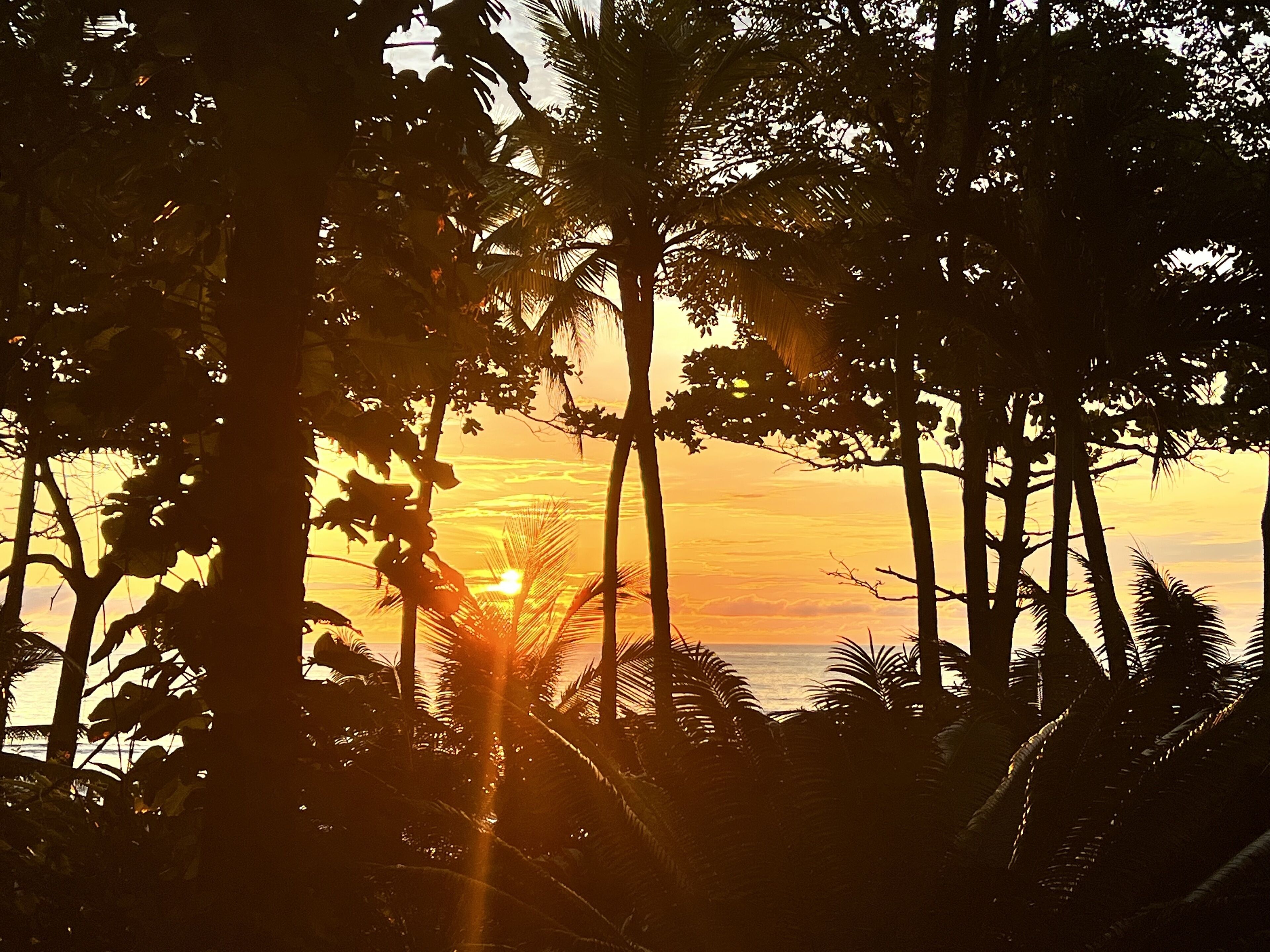 Foto - Casa Galú - Capurganá