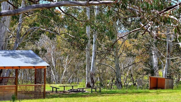 Property grounds - Your gateway to an unforgettable holiday experience in the stunning Snowy Mountains! (Adaminaby)