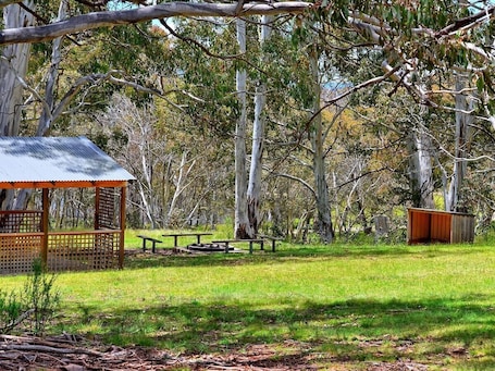 Property grounds. Your gateway to an unforgettable holiday experience in the stunning Snowy Mountains!