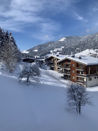 Megeve Rochebrune Appartment in great Chalet 15mn walking Center Village