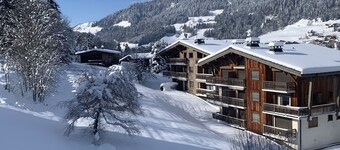 Megeve Rochebrune Appartment in great Chalet 15mn walking Center Village