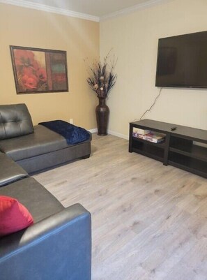 TV connectée, cheminée, livres