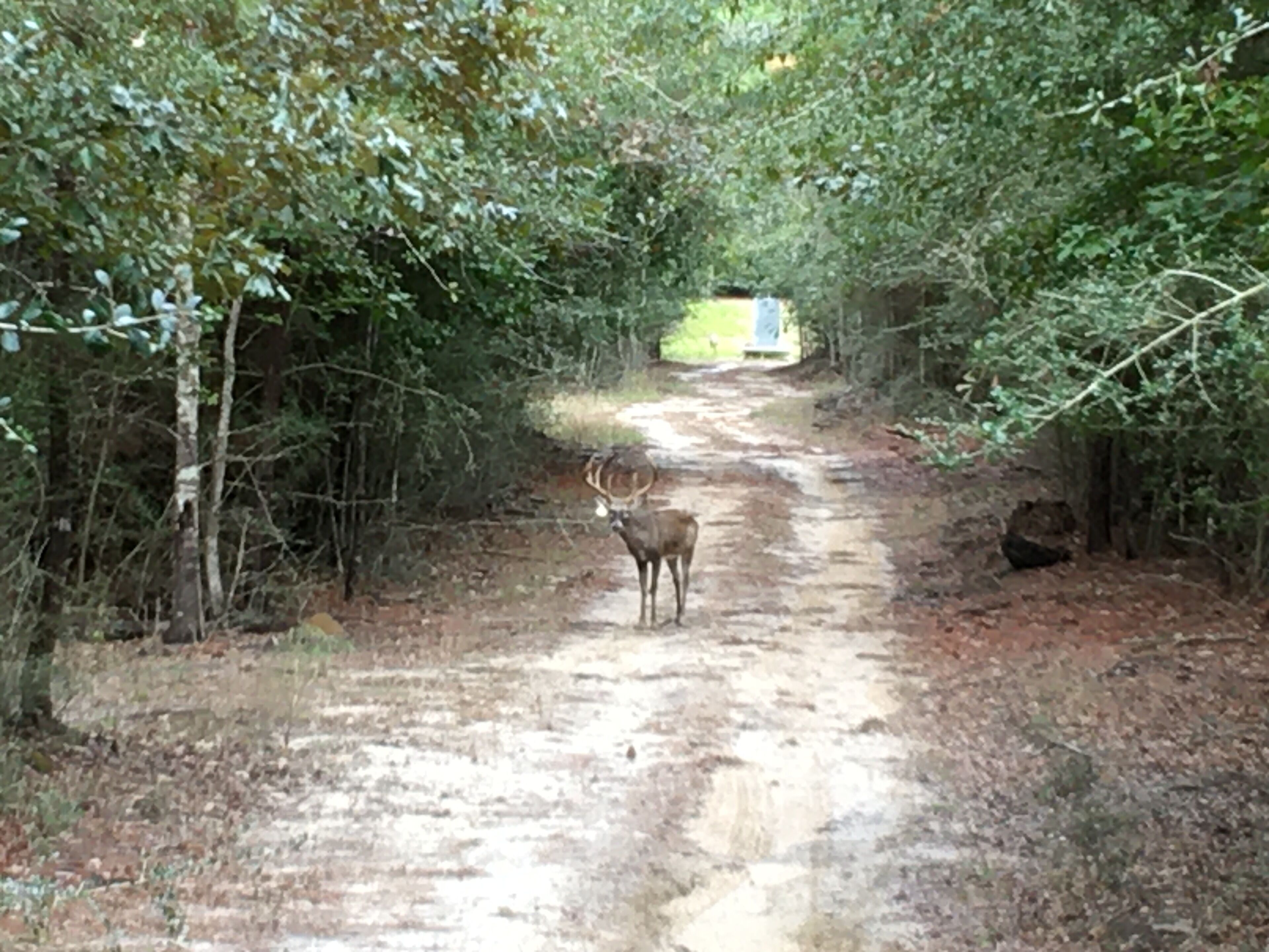 Latest Vacation Rentals in Newton, TX (Newton County, TX)