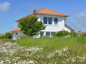Eksteriør