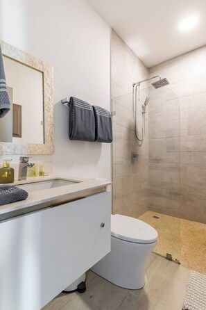 Chuveiro, secador de cabelo, toalhas de banho, sabonete