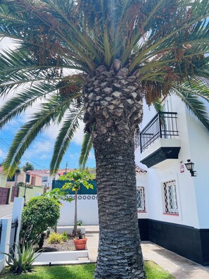Área da propriedade