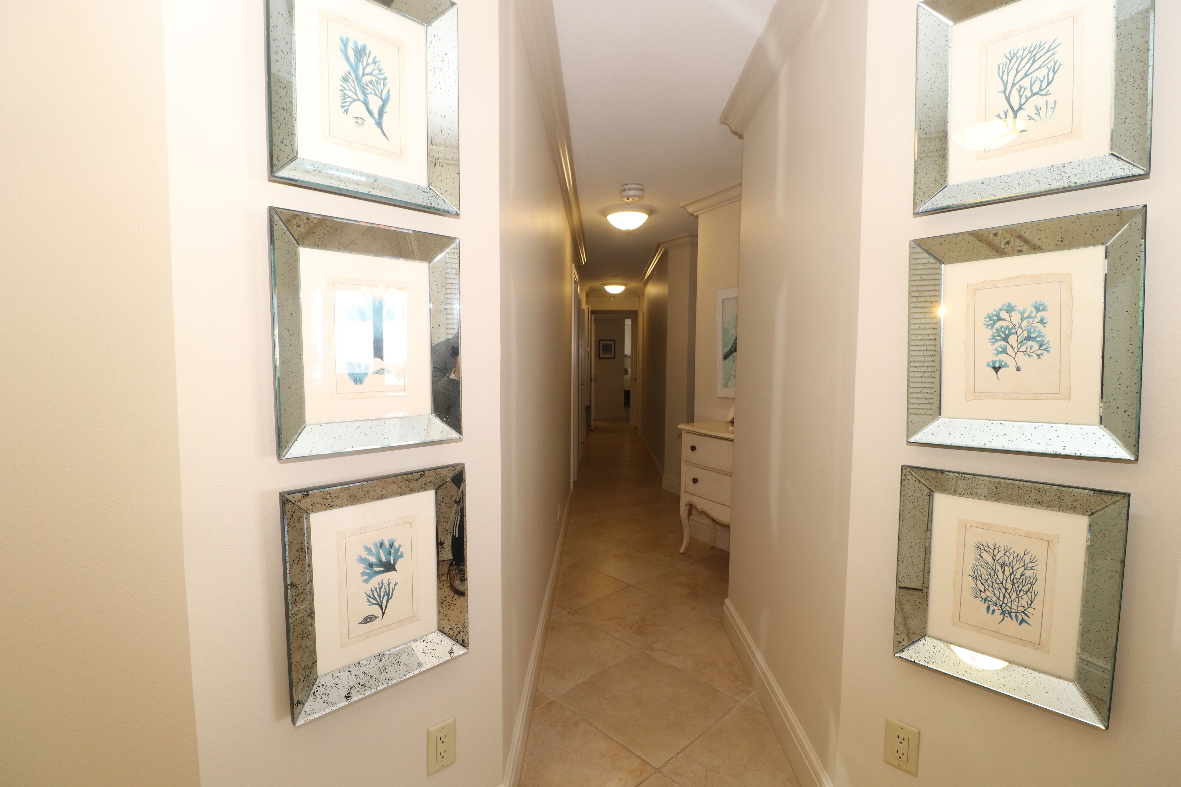 A hallway with framed botanical prints on the walls, a light fixture on the ceiling, and a door at the end.