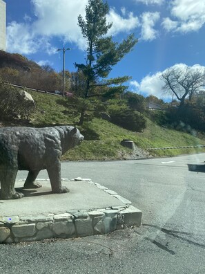 Property grounds - Ski at SugarTop Mountain Resort Stay in the Clouds with Grandfather Mt. View (Sugar Mountain)