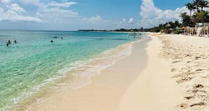 Akumal Bay With Access To Beach 7 Rooftop Pools W Ocean View