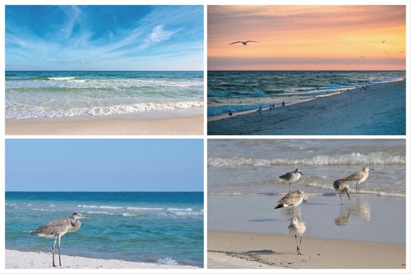Aan het strand