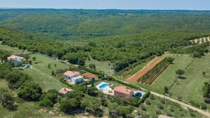 An aerial view of a residential area with multiple houses, a swimming pool, and a vineyard.