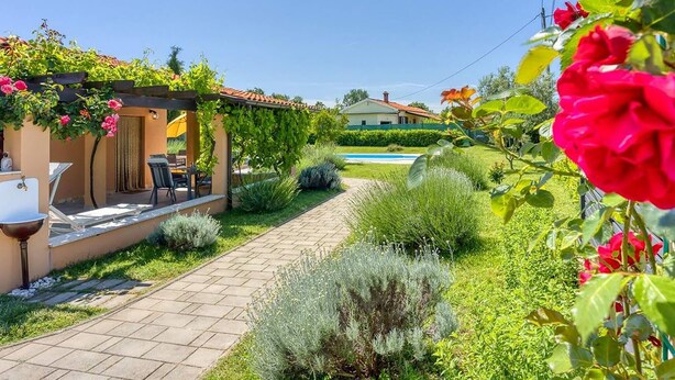 A garden with a patio, a swimming pool, and a house in the background.