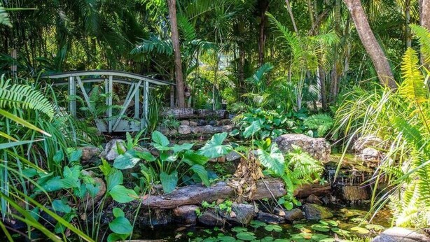 A lush garden with a wooden bridge, a small stream, and various tropical plants. - Magnetic Island Resort Studio - Relax, sun, swim, fish, beach and lovely gardens (Nelly Bay)