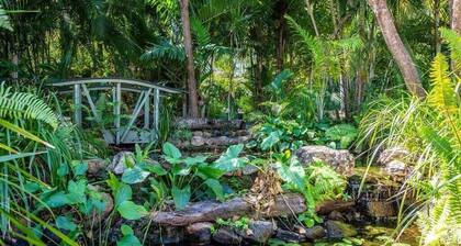 Magnetic Island Resort Studio - Relax, sun, swim, fish, beach and lovely gardens