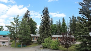 A building with a green roof, surrounded by tall trees and a grassy area with picnic tables. - Pines Motel (Hinton)