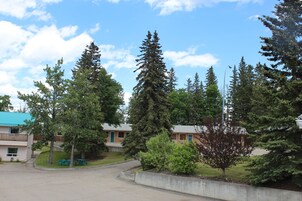 Room, 1 Queen Bed, Non Smoking | Free WiFi, bed sheets