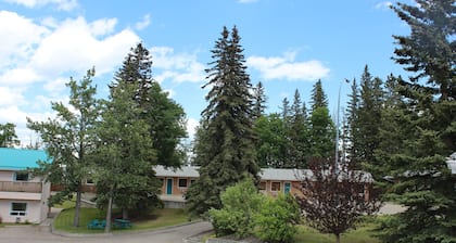 Pines Motel