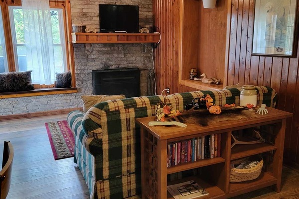 Tv, eldstad och böcker