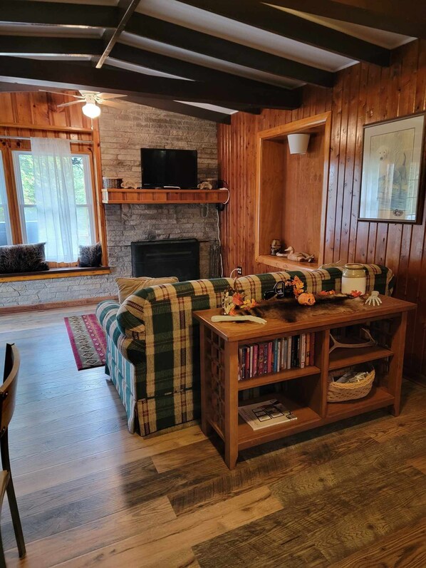 TV, fireplace, books