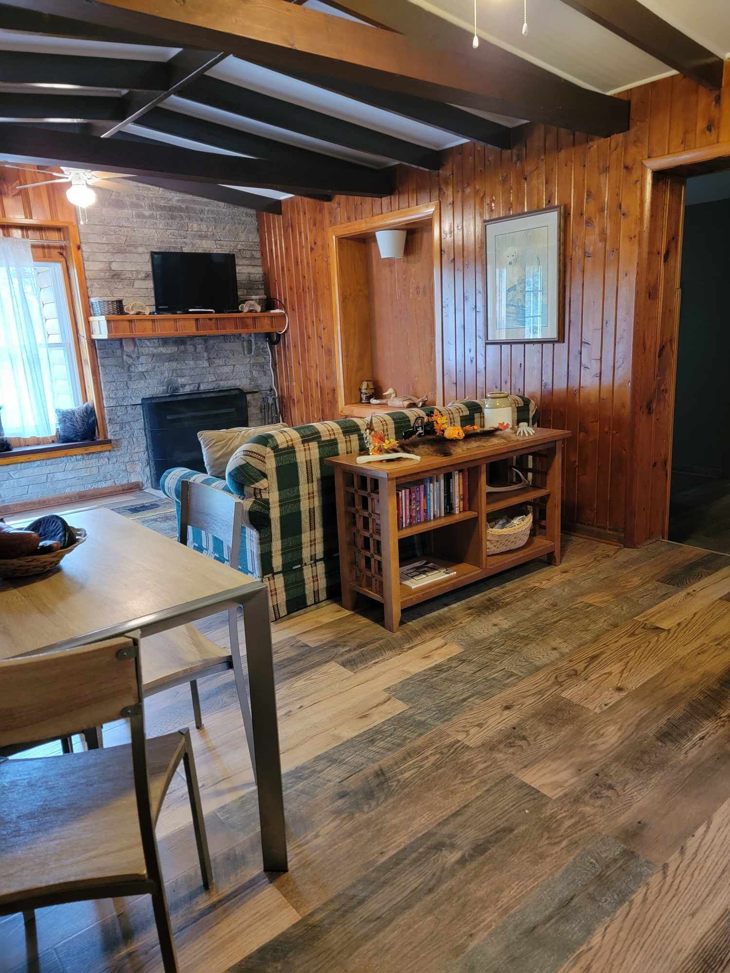 TV, fireplace, books